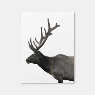AUTO-MOCKUP WHITE | Deer Grayscale | 1 Piece | Gallery Wrap Canvas | group=3x4