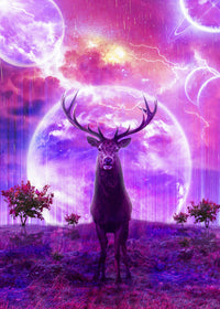 Deer Space Wall Art