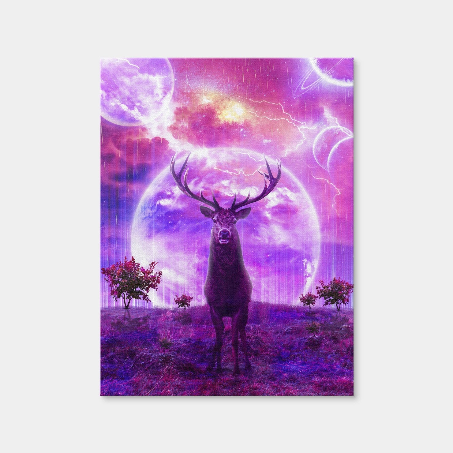 AUTO-MOCKUP WHITE | Deer Space | 1 Piece | Gallery Wrap Canvas | group=3x4