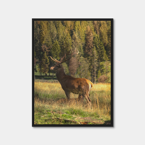 Deer Wall Art — Framed Canvas Format preview