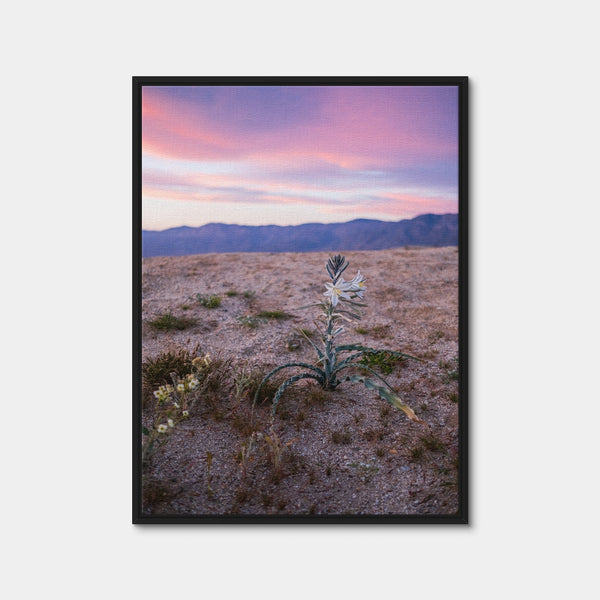 Desert Wild Flowers Wall Art — Framed Canvas Format preview