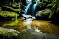 Dismals Canyon Wall Art
