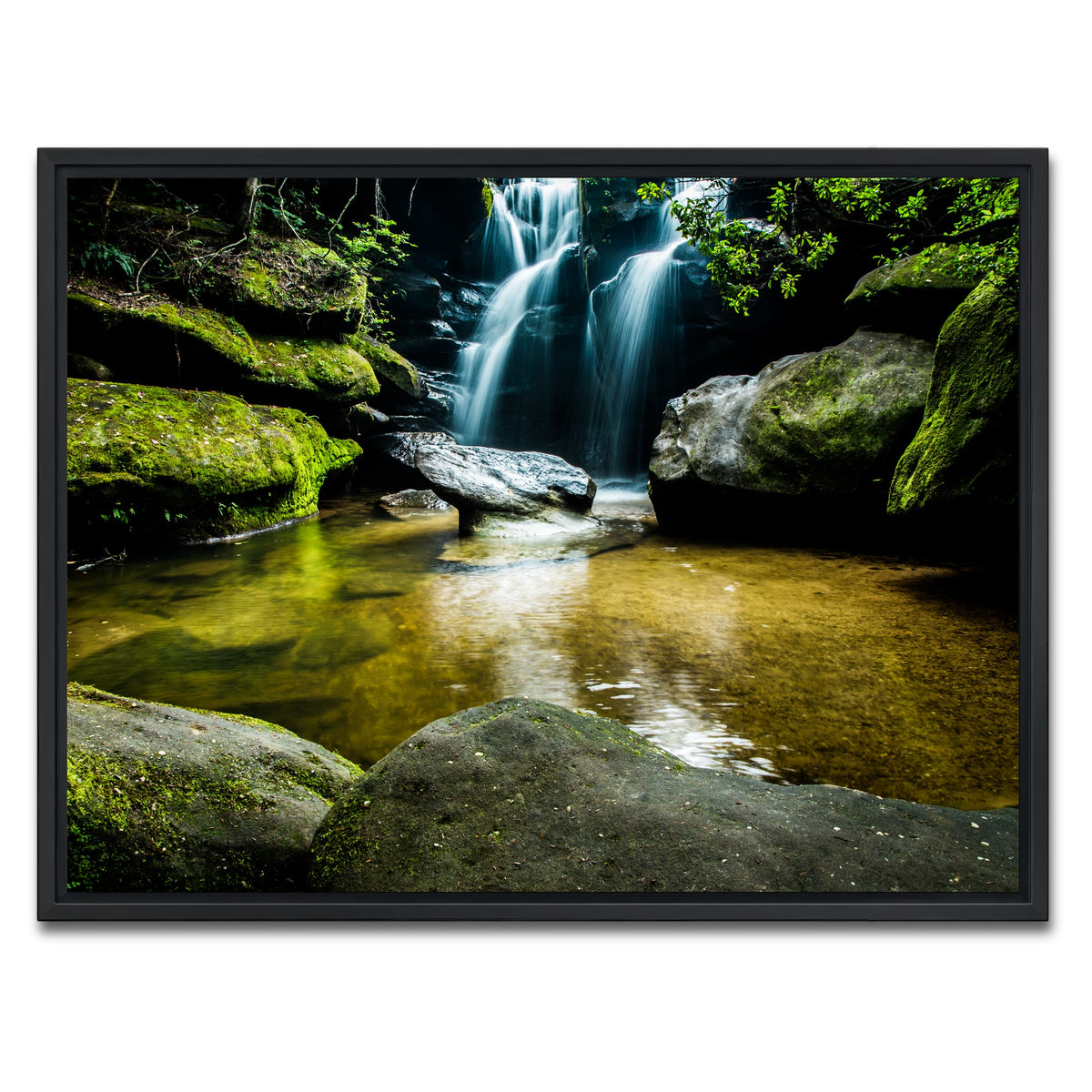 AUTO-MOCKUP WHITE | Dismals Canyon | 1 Piece | Black Framed Canvas | group=4x3