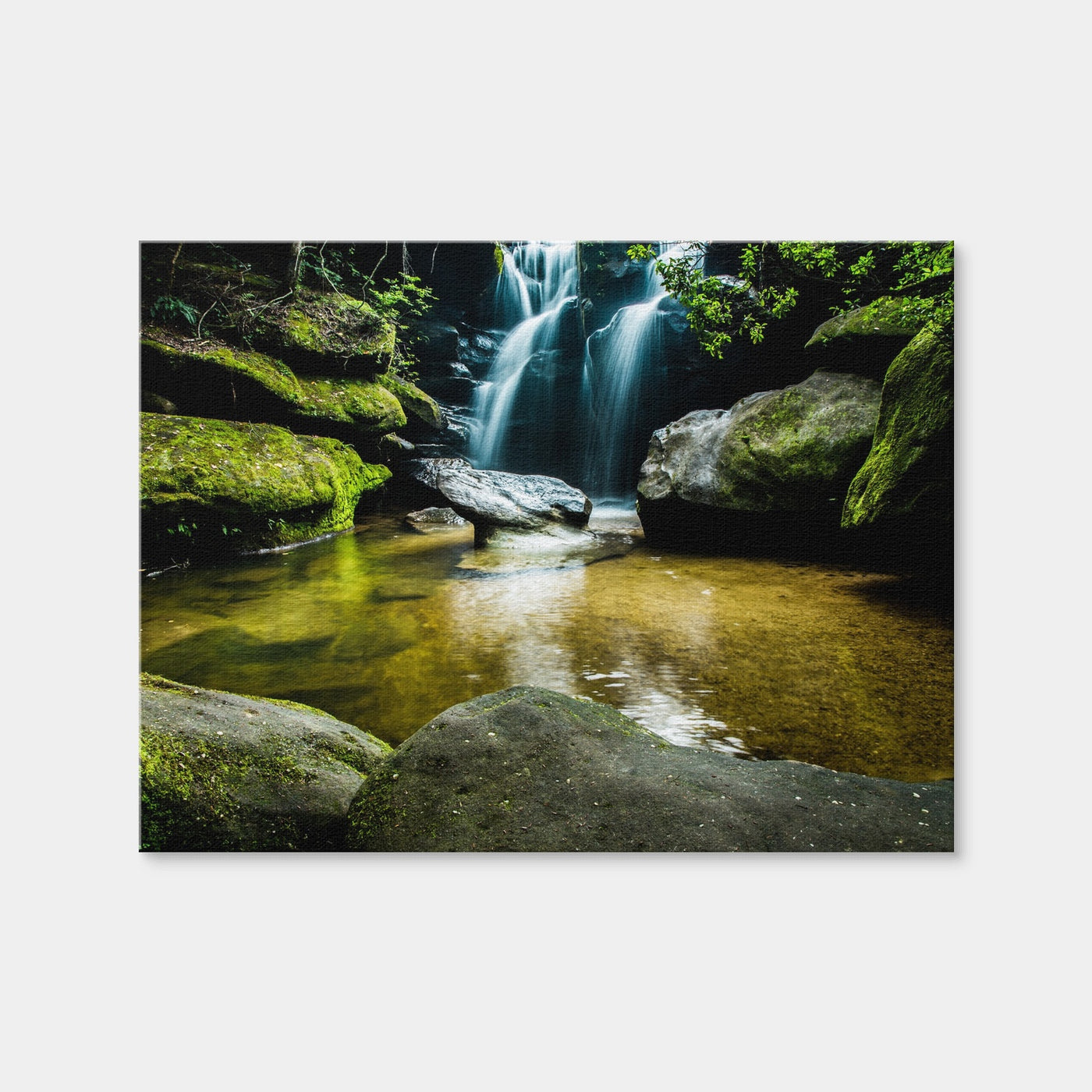 AUTO-MOCKUP WHITE | Dismals Canyon | 1 Piece | Gallery Wrap Canvas | group=4x3