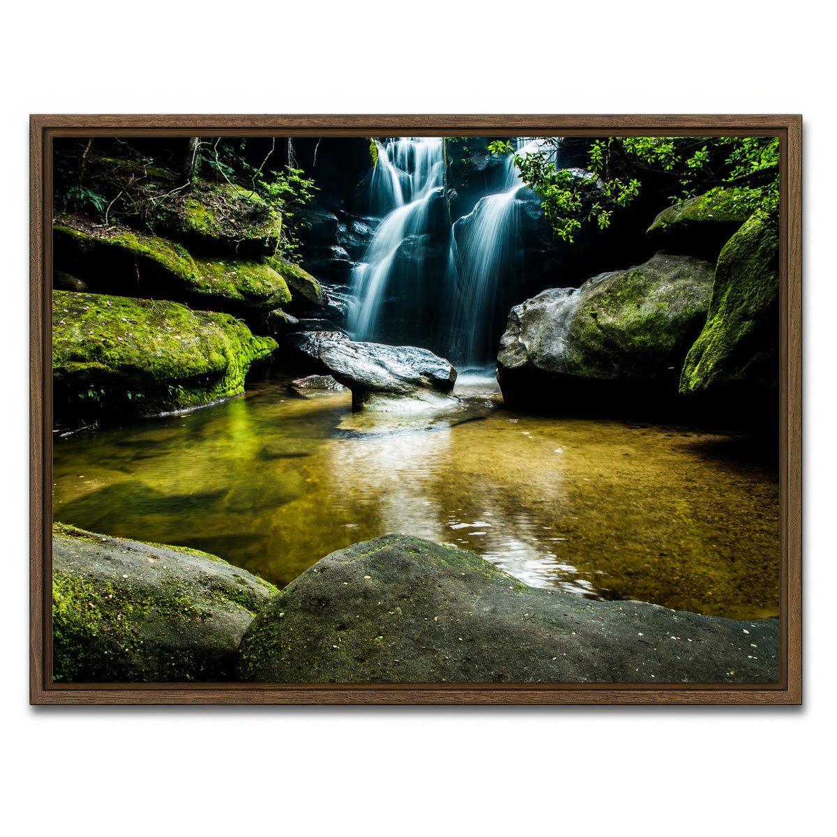AUTO-MOCKUP WHITE | Dismals Canyon | 1 Piece | Walnut Framed Canvas | group=4x3