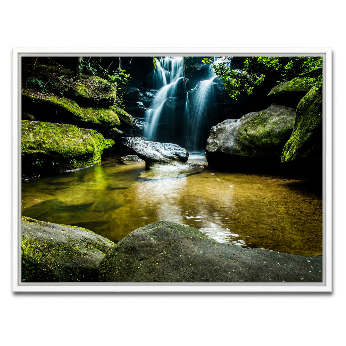 AUTO-MOCKUP WHITE | Dismals Canyon | 1 Piece | White Framed Canvas | group=4x3