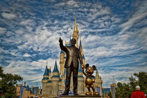 Disney World's Magic Kingdom Wall Art