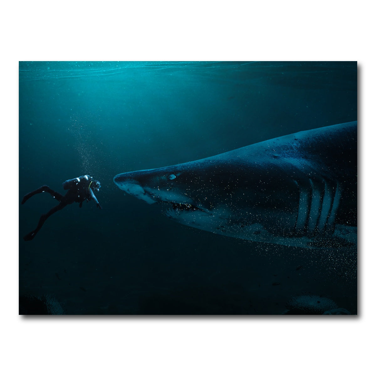 AUTO-MOCKUP WHITE | Diver and Shark | 1 Piece | Gallery Wrap Canvas | group=4x3