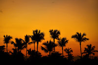 Dominican Sunset 2 Wall Art