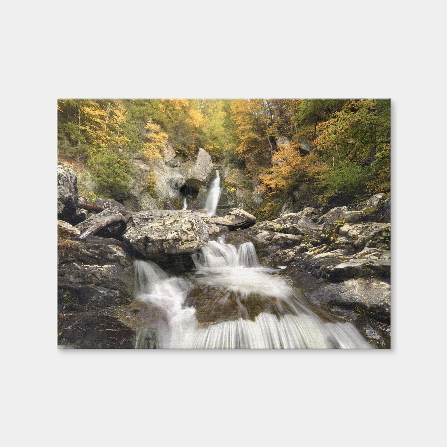 Down Stream Wall Art