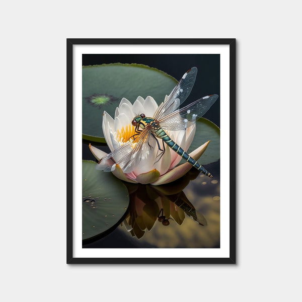 Dragonfly Resting on a Water Lily Wall Art — Framed Print Format preview