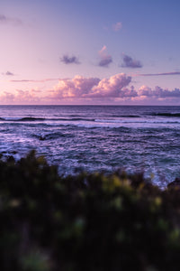 Dreamy Evening Wall Art