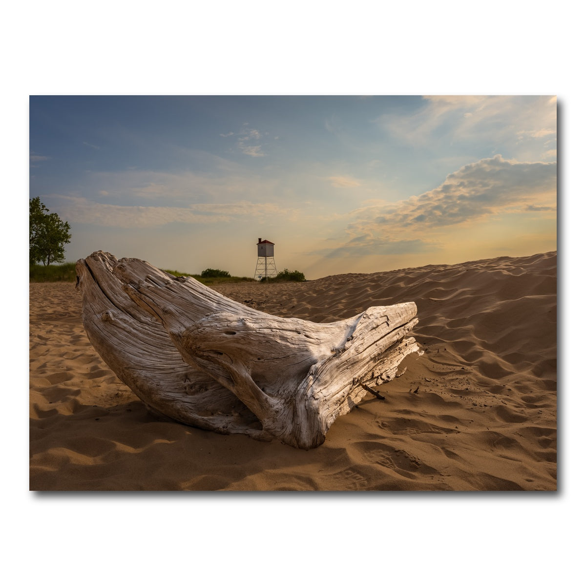 AUTO-MOCKUP WHITE | Driftwood Sunset | 1 Piece | Gallery Wrap Canvas | group=4x3