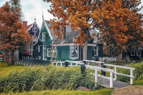 Dutch Countryside Wall Art