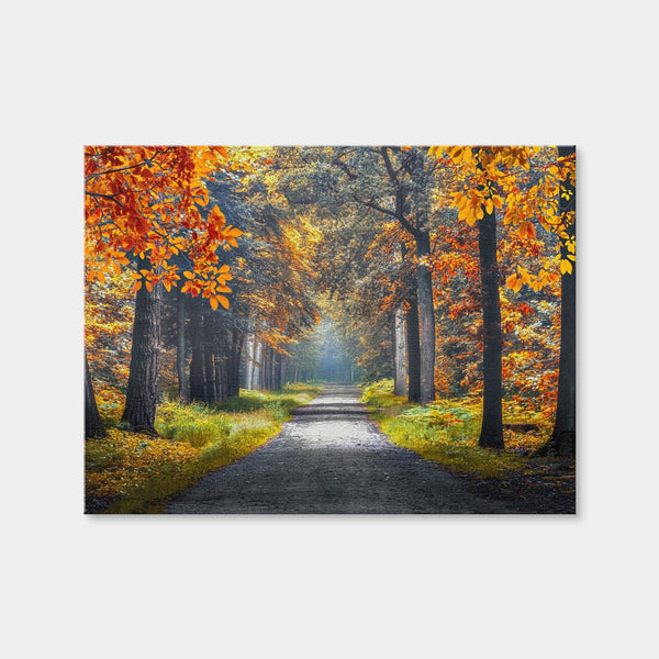 Dutch Forest Wall Art — Canvas Wrap Format preview