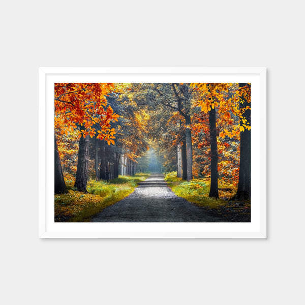 Dutch Forest Wall Art — Framed Print Format preview