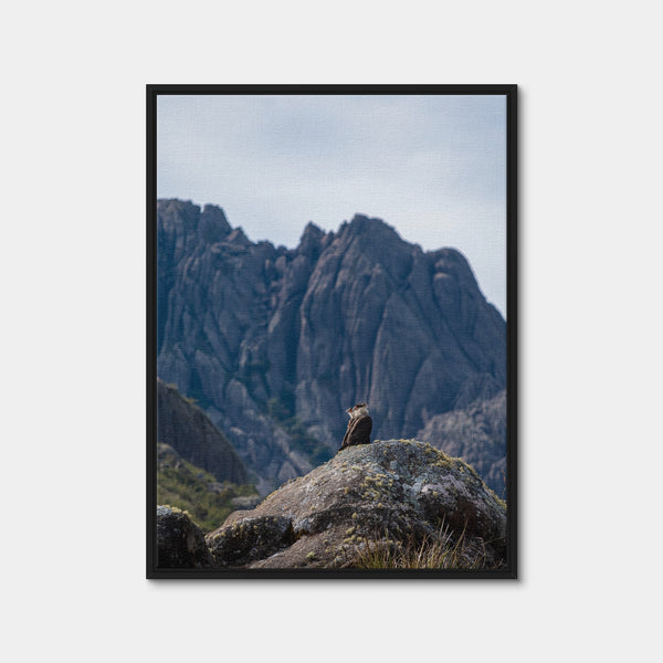 Eagles and Black Needles Peak Wall Art — Framed Canvas Format preview
