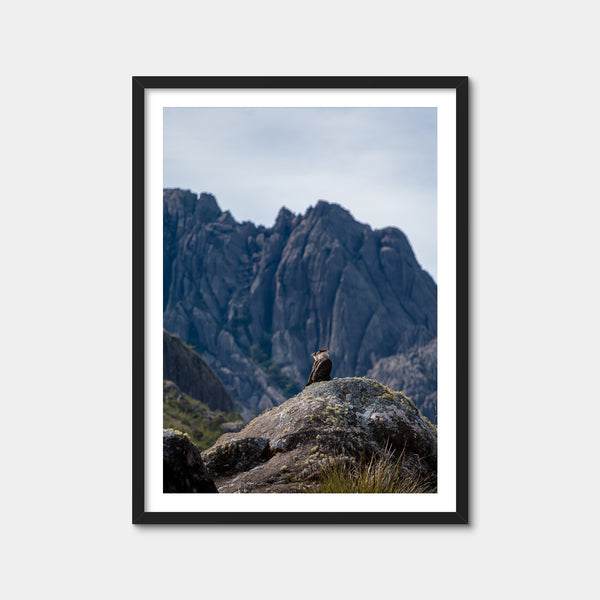 Eagles and Black Needles Peak Wall Art — Framed Print Format preview