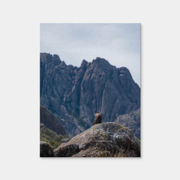 Eagles and Black Needles Peak Wall Art — Canvas Wrap Format preview