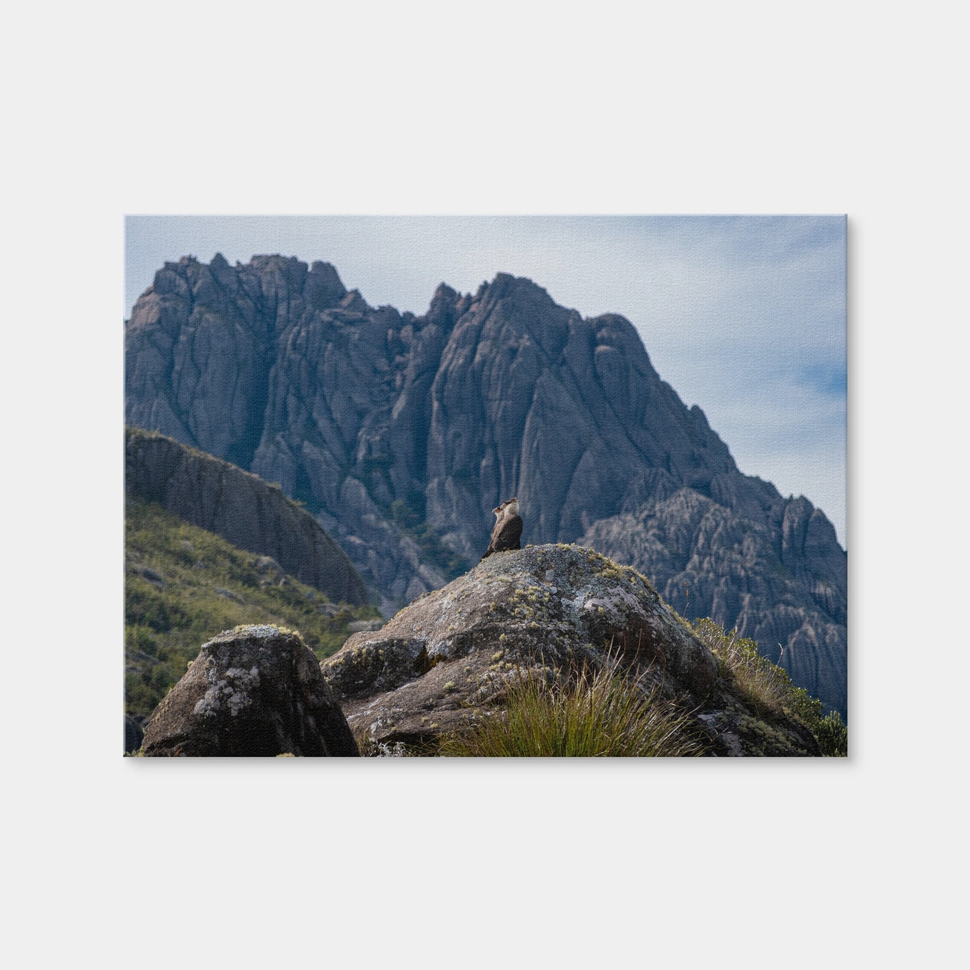 AUTO-MOCKUP WHITE | Eagles and The Black Needles | 1 Piece | Gallery Wrap Canvas | group=4x3