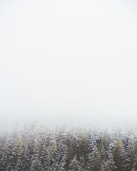 Early Morning in Northern BC Canada Wall Art