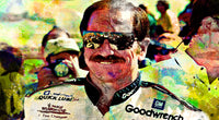 Earnhardt Wall Art