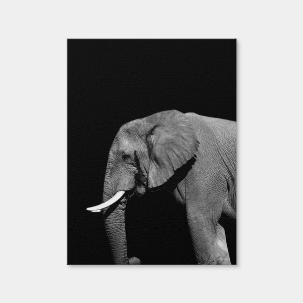 Elephant Wall Art — Canvas Wrap Format preview