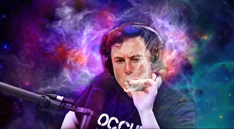 Elon Smoking Wall Art