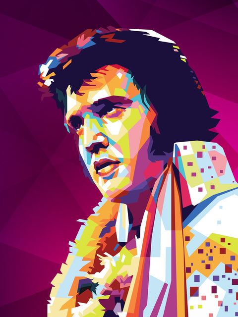Elvis Colors Wall Art