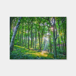 AUTO-MOCKUP WHITE | Emerald Forest | 1 Piece | Gallery Wrap Canvas | group=4x3