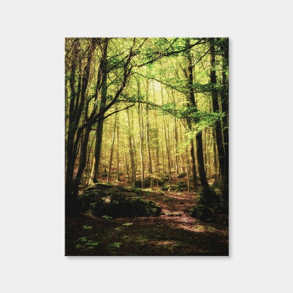 Enchanting Forest Vol. 1 Wall Art — Canvas Wrap Format preview