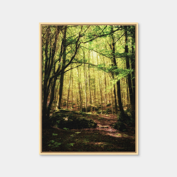 Enchanting Forest Vol. 1 Wall Art — Framed Canvas Format preview
