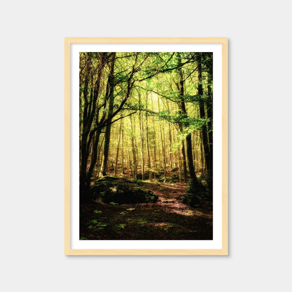 Enchanting Forest Vol. 1 Wall Art — Framed Print Format preview