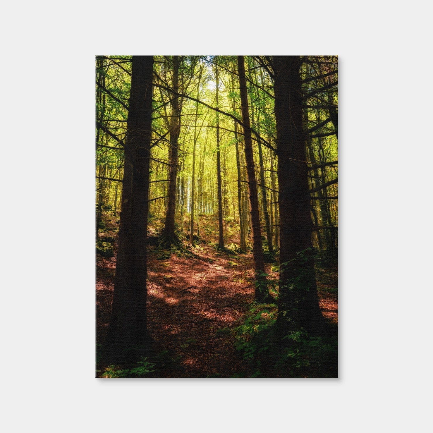 AUTO-MOCKUP WHITE | Enchanting Forest Vol. 2 | 1 Piece | Gallery Wrap Canvas | group=3x4