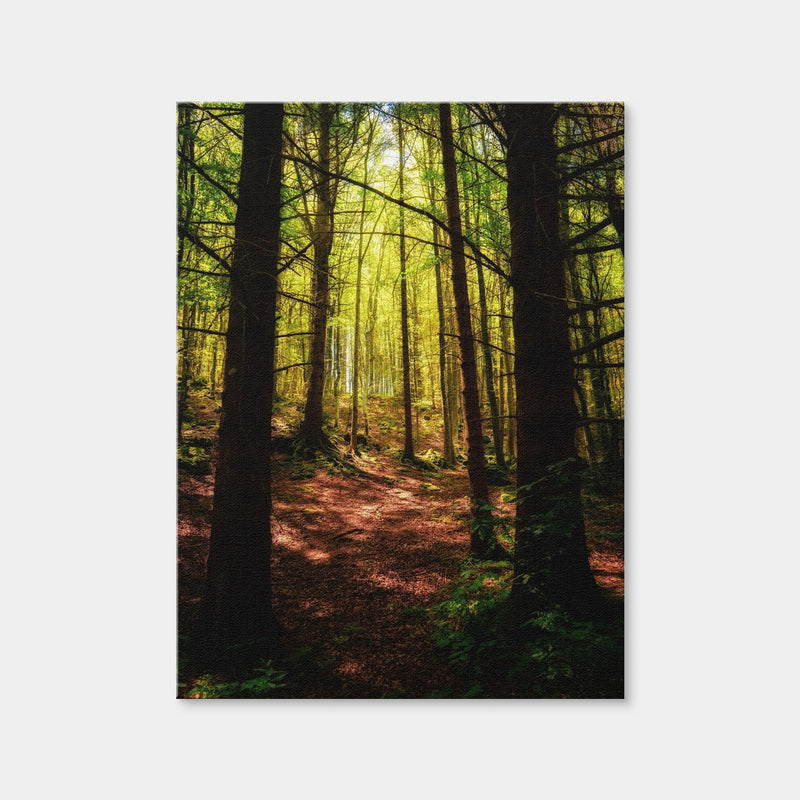 AUTO-MOCKUP WHITE | Enchanting Forest Vol. 2 | 1 Piece | Gallery Wrap Canvas | group=3x4
