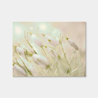 AUTO-MOCKUP WHITE | Enchanting Snowdrops | 1 Piece | Gallery Wrap | group=4x3