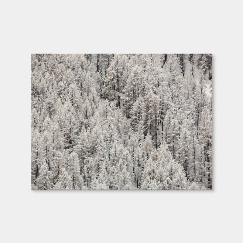 AUTO-MOCKUP WHITE | Enneigement tardif | 1 Piece | Gallery Wrap Canvas | group=4x3
