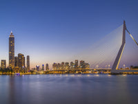 Erasmus Bridge and Rotterdam skyline in the evening Wall Art