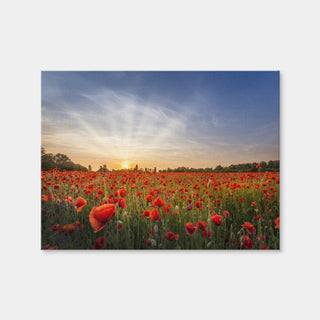 AUTO-MOCKUP WHITE | Evening in a Poppy Field | 1 Piece | Gallery Wrap Canvas | group=4x3