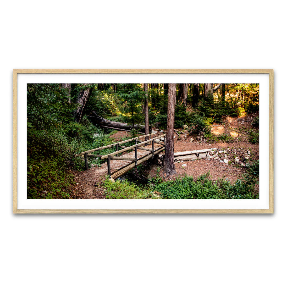 Ewoldsen Loop Bridge Wall Art
