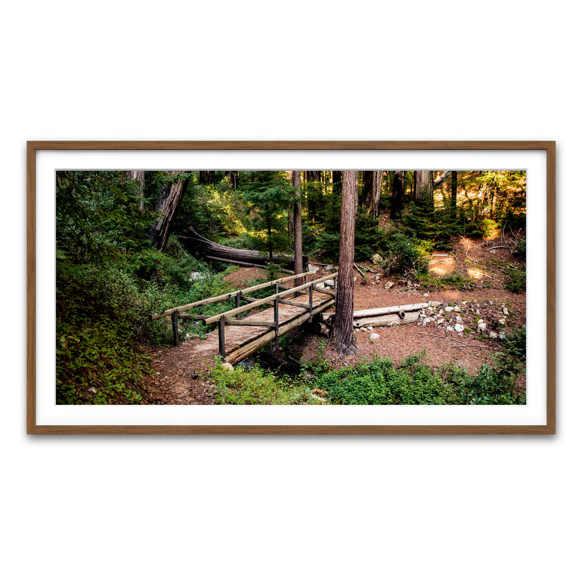 Ewoldsen Loop Bridge Wall Art