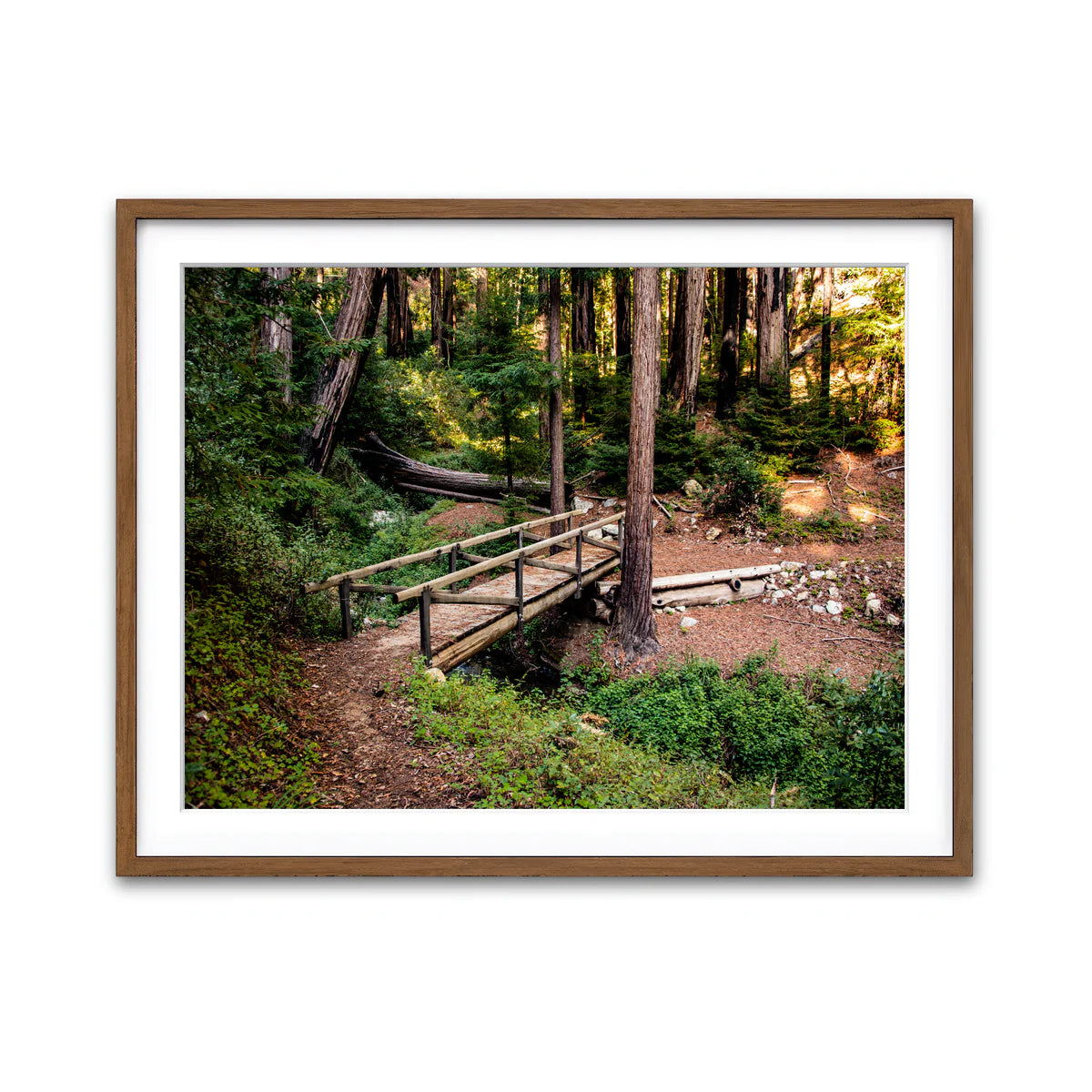 Ewoldsen Loop Bridge Wall Art