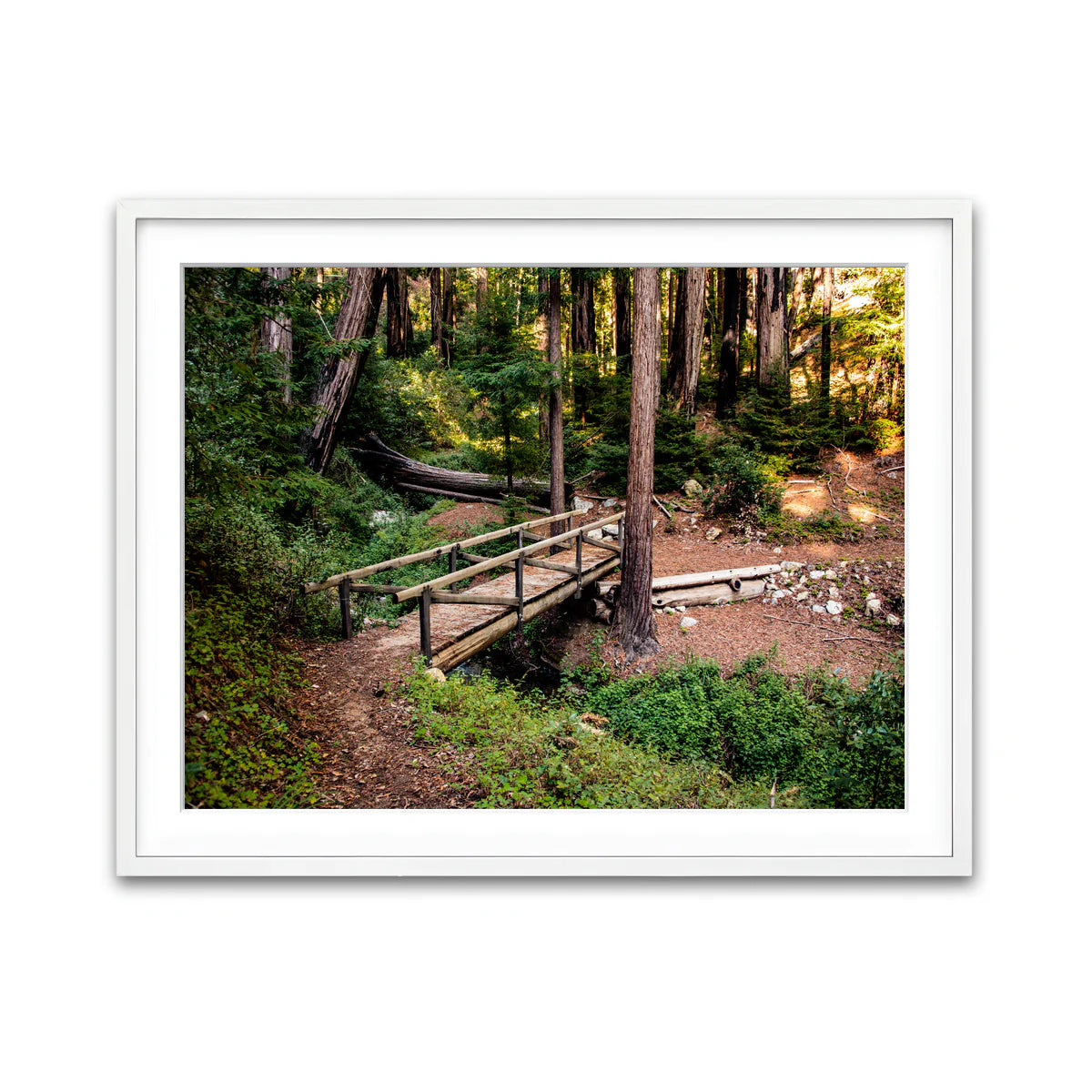 Ewoldsen Loop Bridge Wall Art