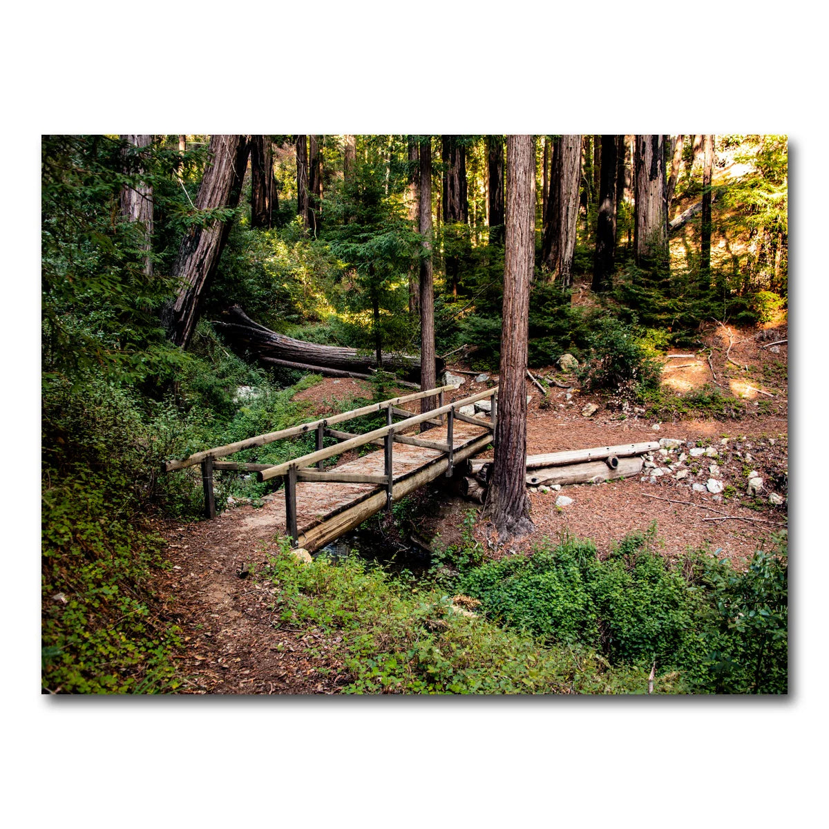 Ewoldsen Loop Bridge Wall Art