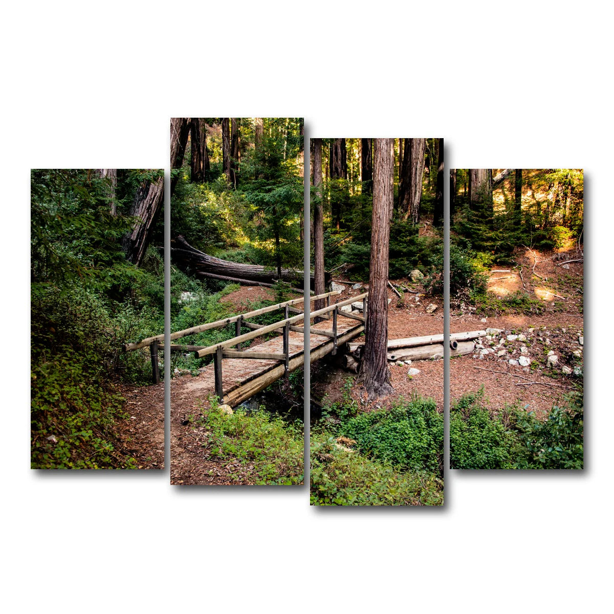 Ewoldsen Loop Bridge Wall Art