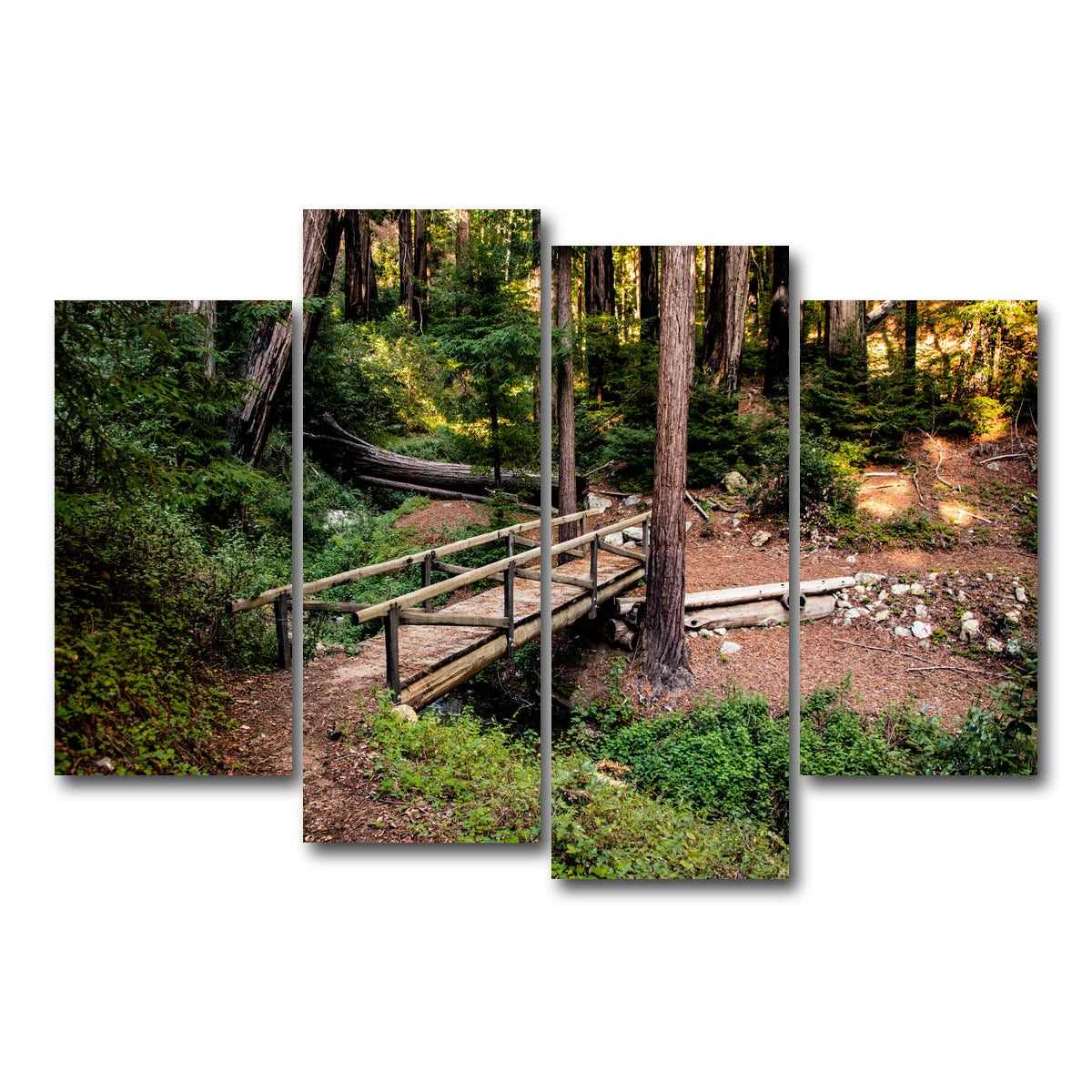 Ewoldsen Loop Bridge Wall Art