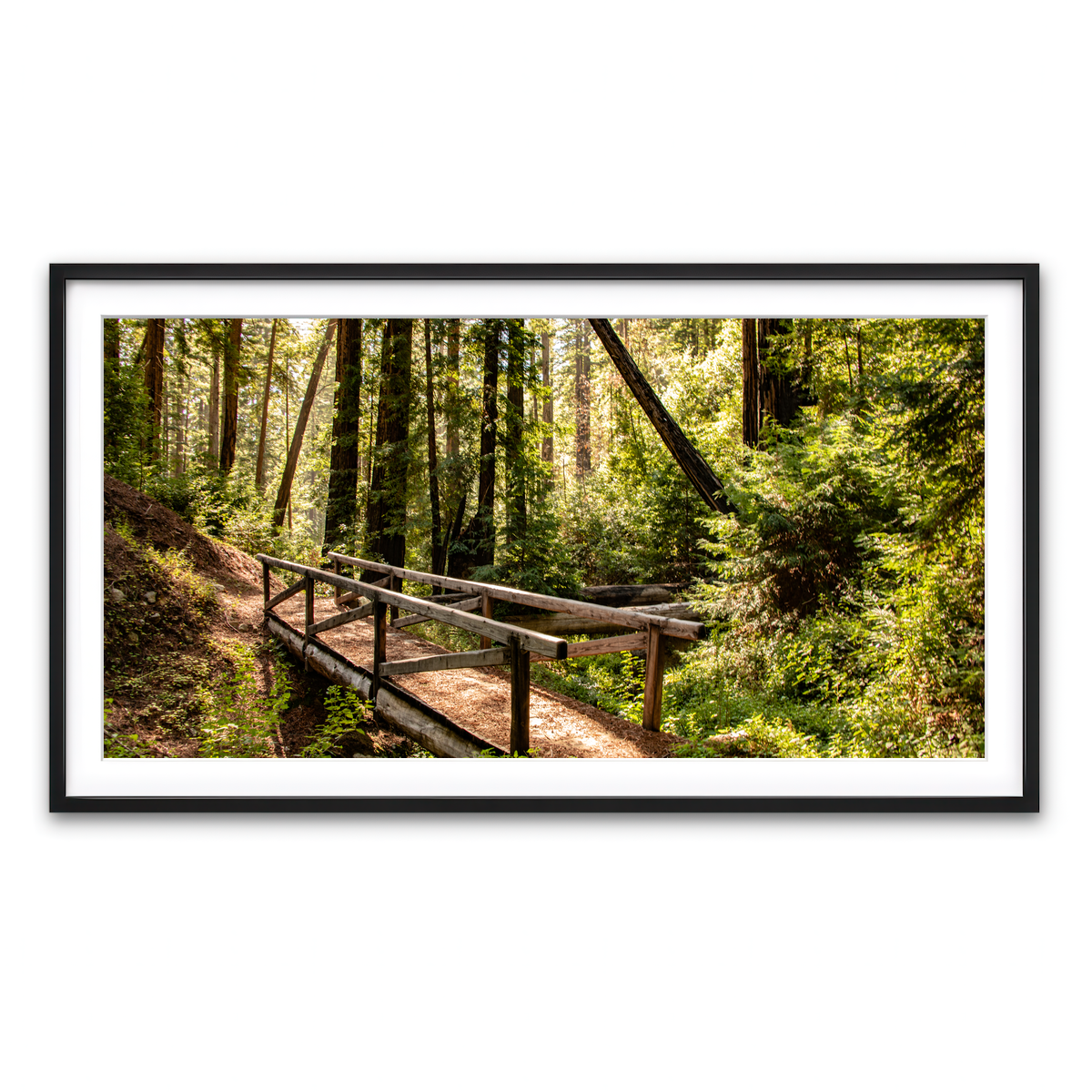 Ewoldsen Trail Bridge Wall Art