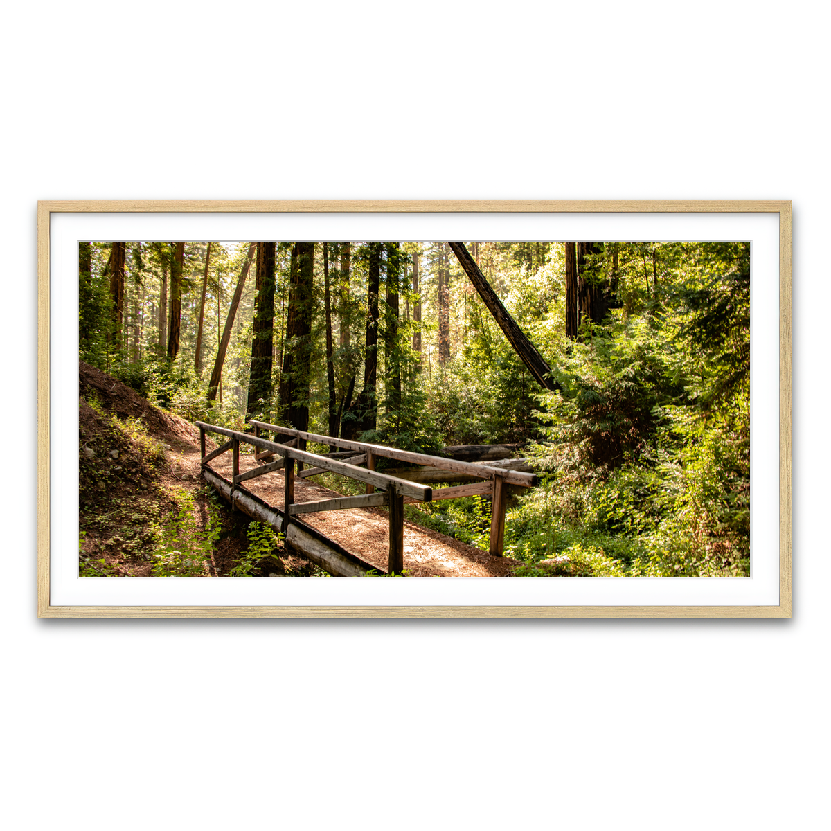Ewoldsen Trail Bridge Wall Art