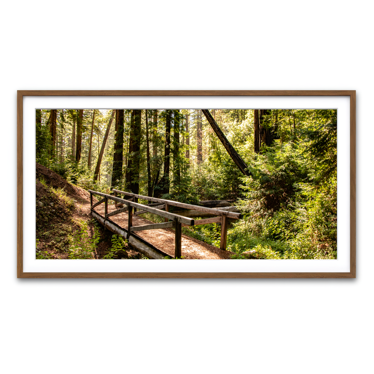 Ewoldsen Trail Bridge Wall Art