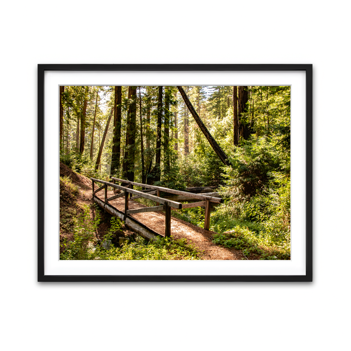 Ewoldsen Trail Bridge Wall Art
